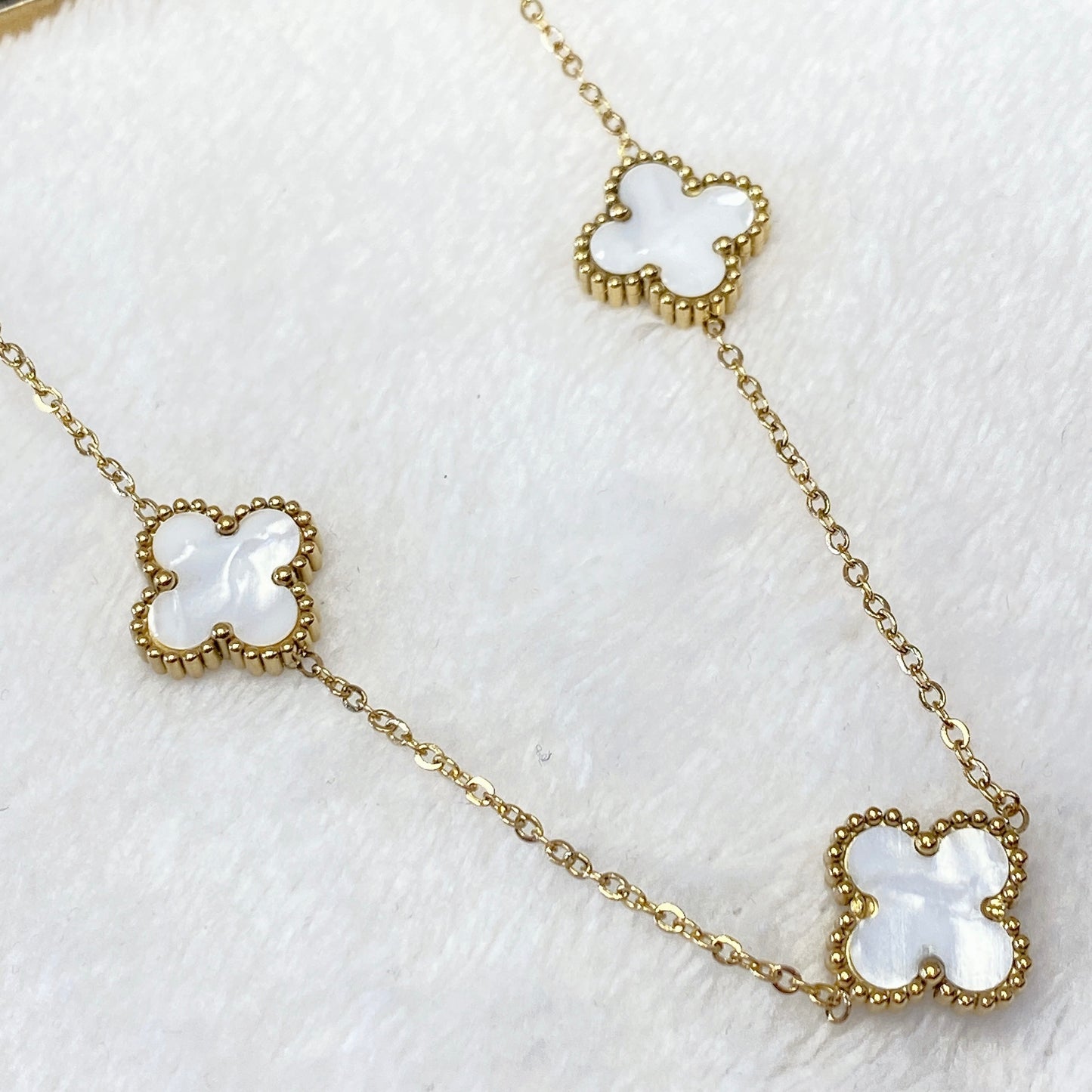 Collar de Acero Inoxidable CAI1980-1