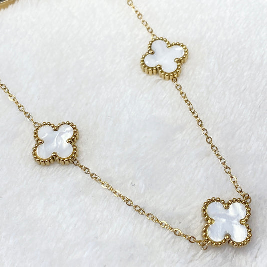 Collar de Acero Inoxidable CAI1980-1