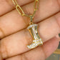 Collar de Chapa de Oro CC2080-1