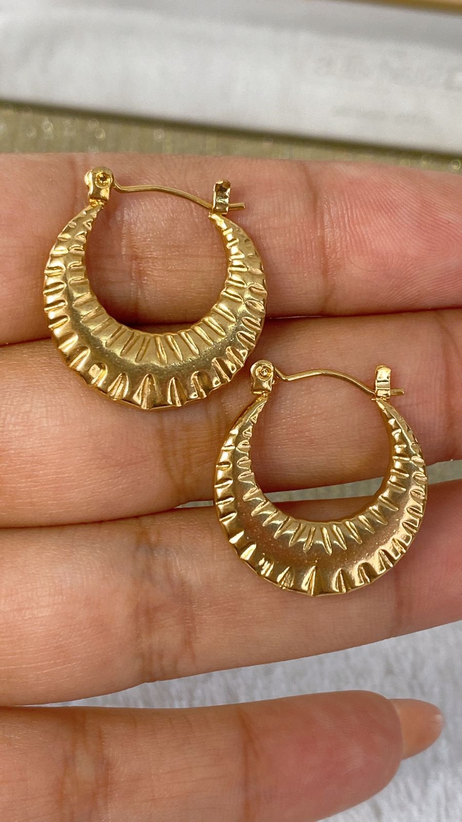 Arracadas de Acero Inoxidable AAI1949-1