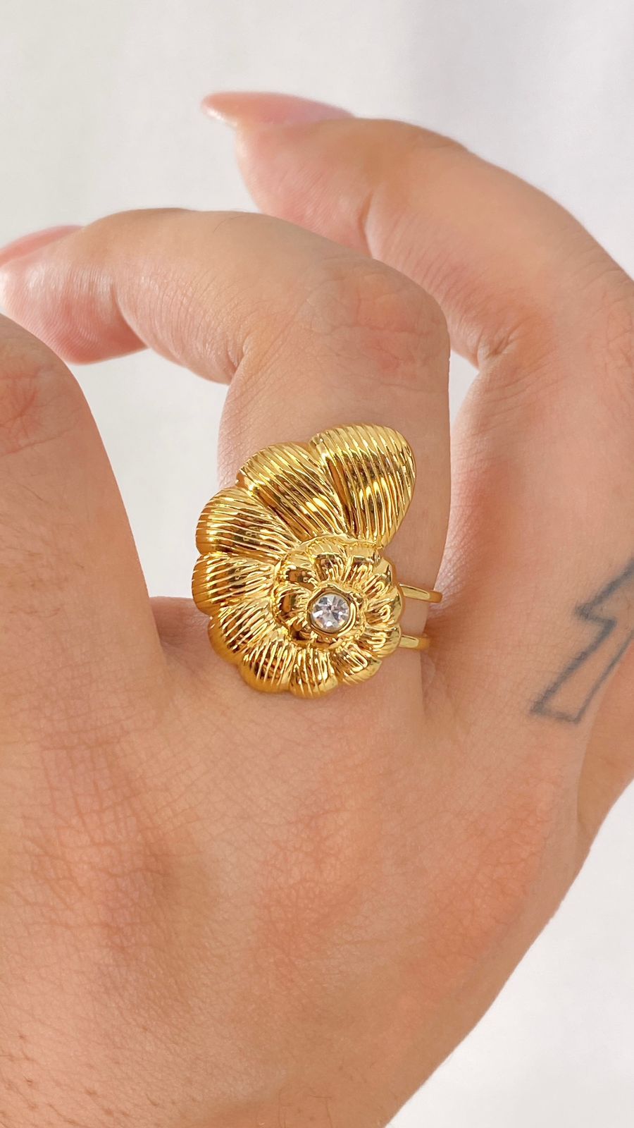 Anillo de Acero Inoxidable Ajustable RAI991-1