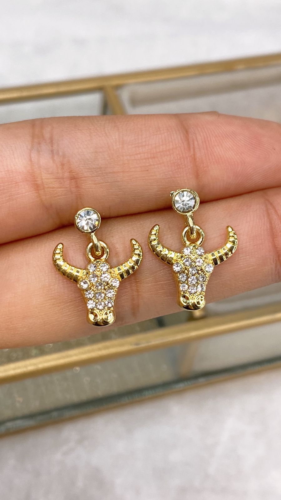Arete de Chapa de Oro COA2023-1