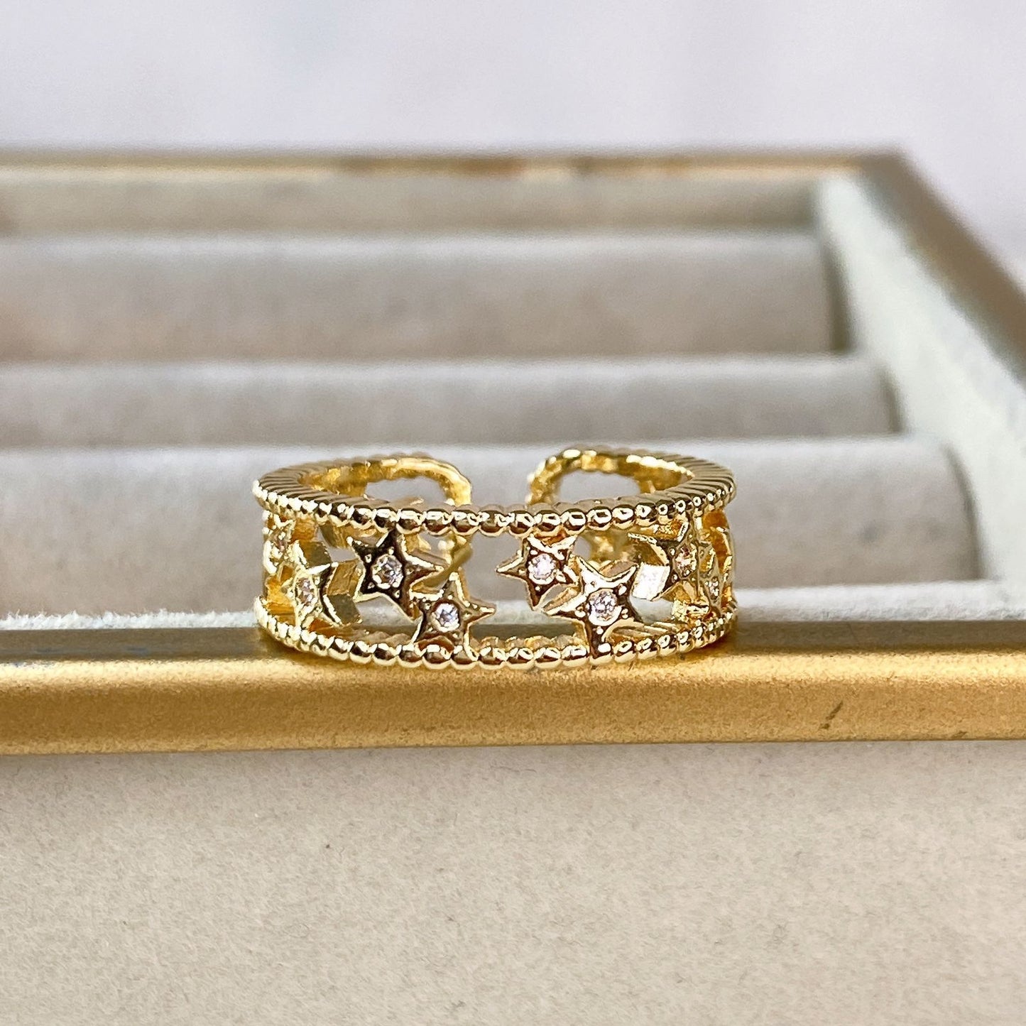 Anillo Chapa de Oro Ajustable ACO1464-1