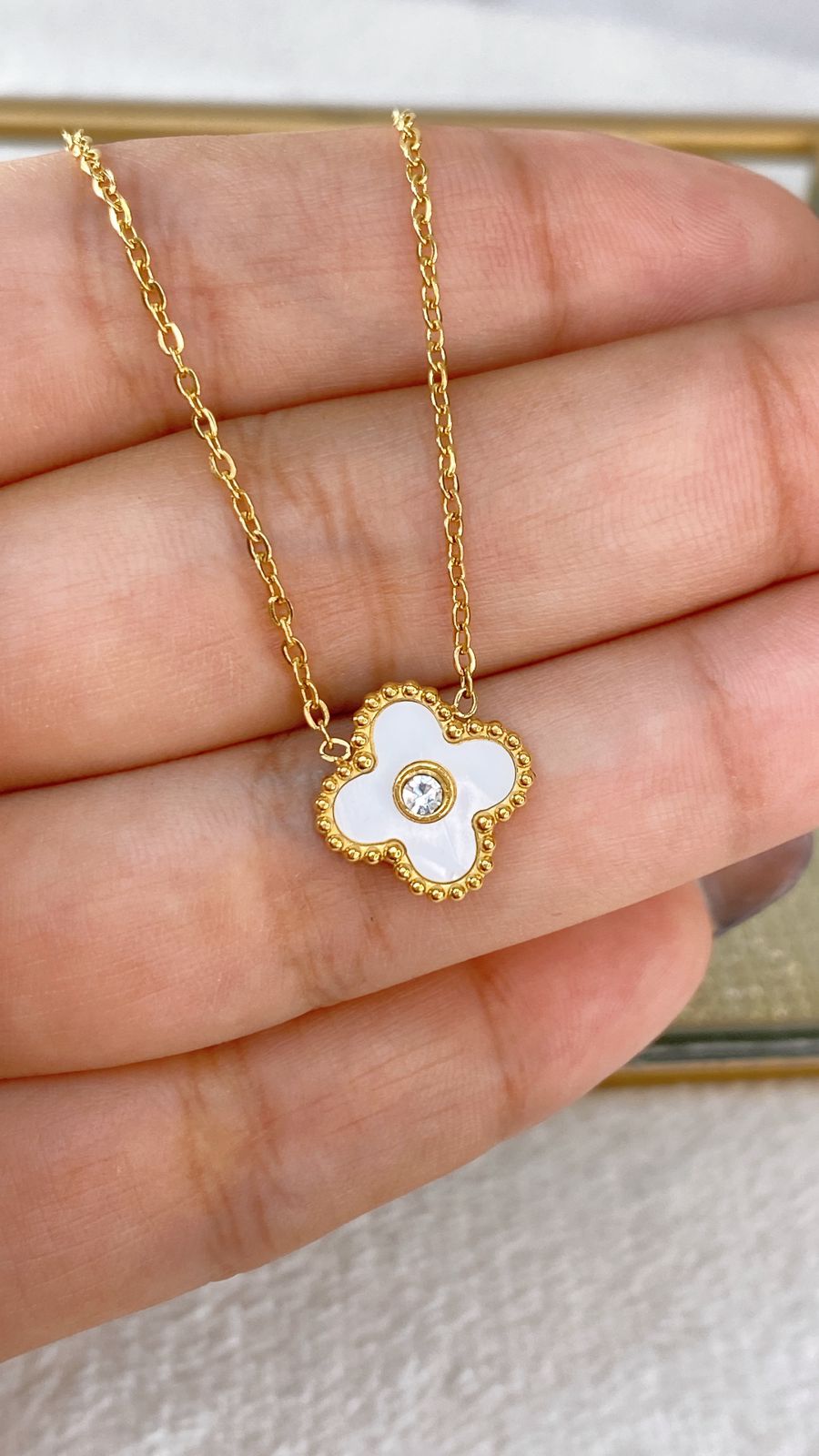 Collar de Acero Inoxidable CAI2731-1