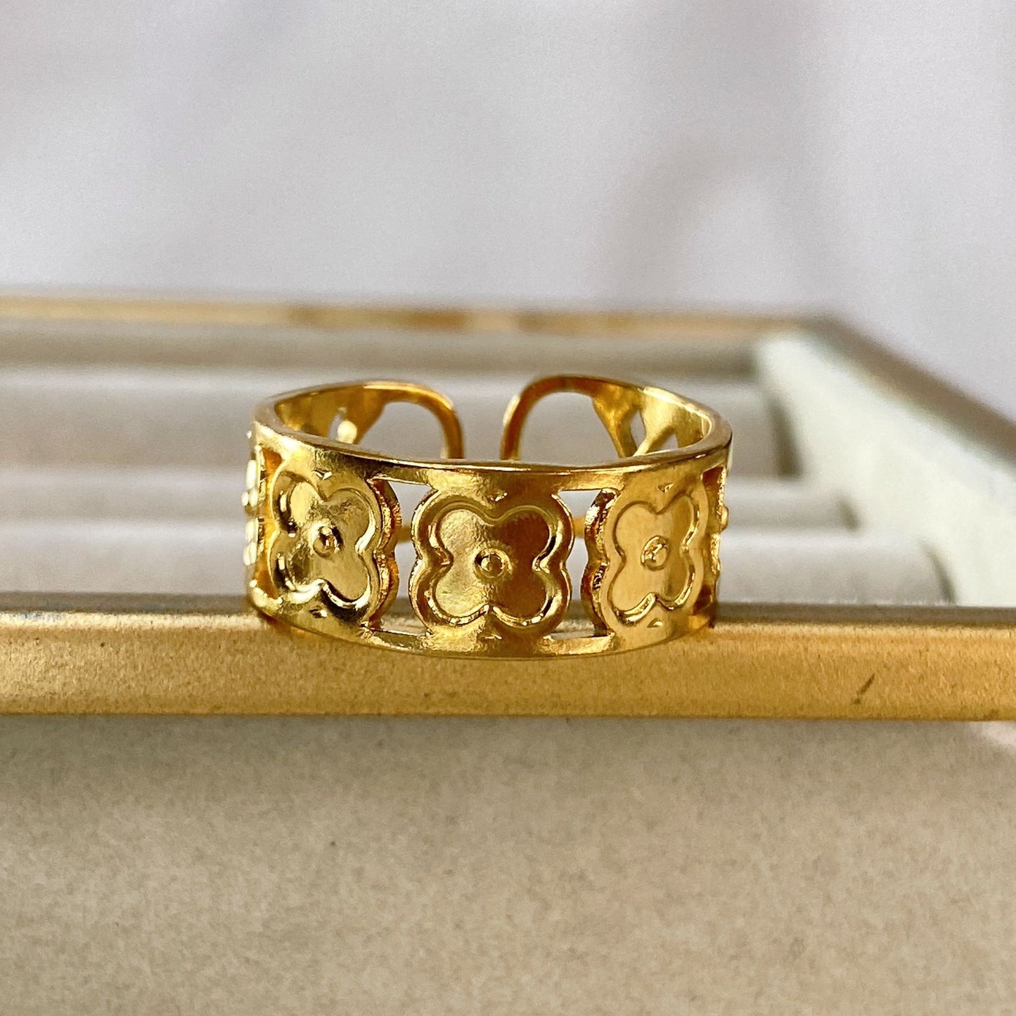 Anillo de Acero Ajustable Inoxidable RAI1054-1