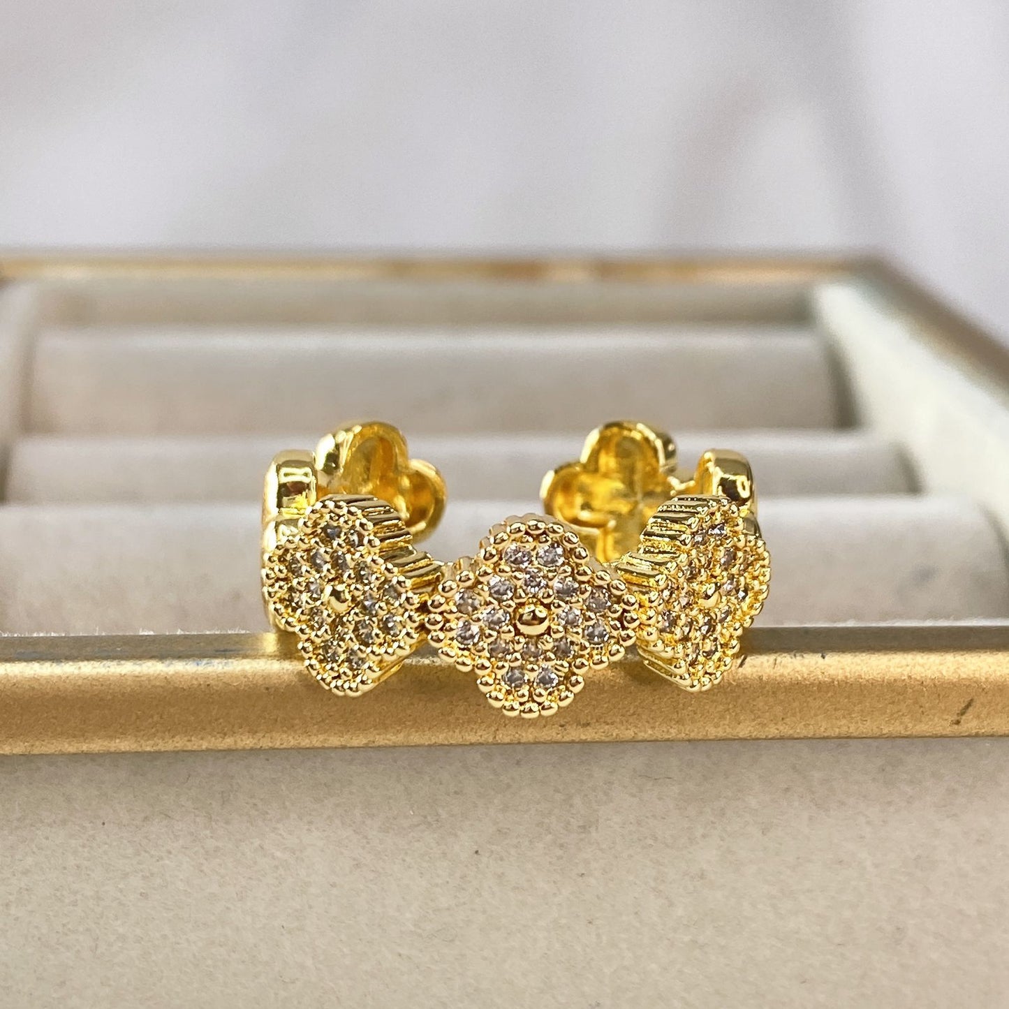 Anillo Chapa de Oro Ajustable ACO1482-1