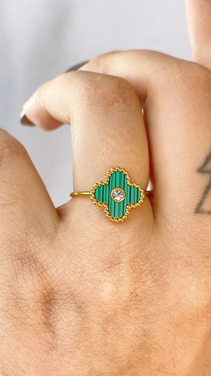 Anillo de Acero Ajustable Inoxidable RAI1053-5