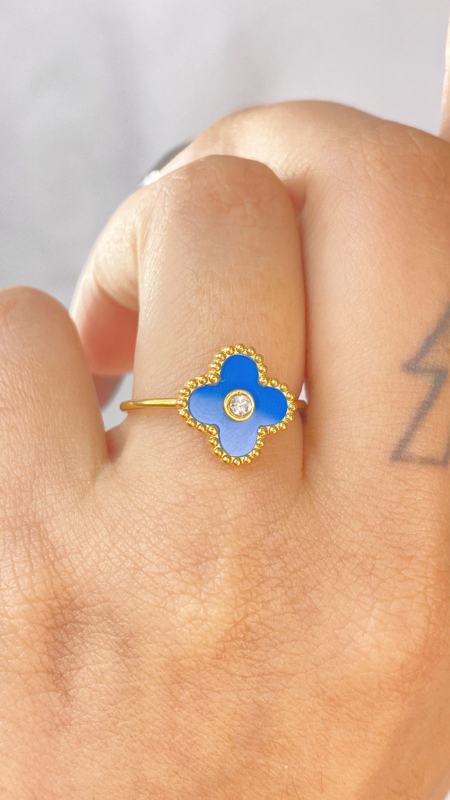 Anillo de Acero Ajustable Inoxidable RAI1053-6