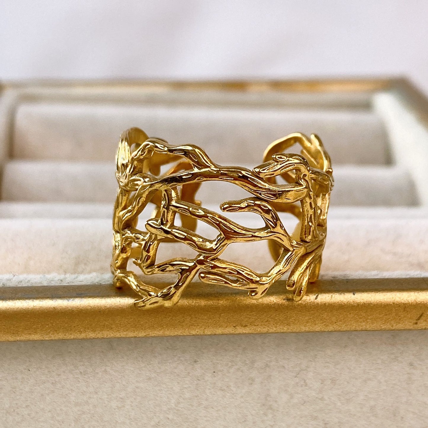 Anillo de Acero Inoxidable Ajustable RAI1058-1