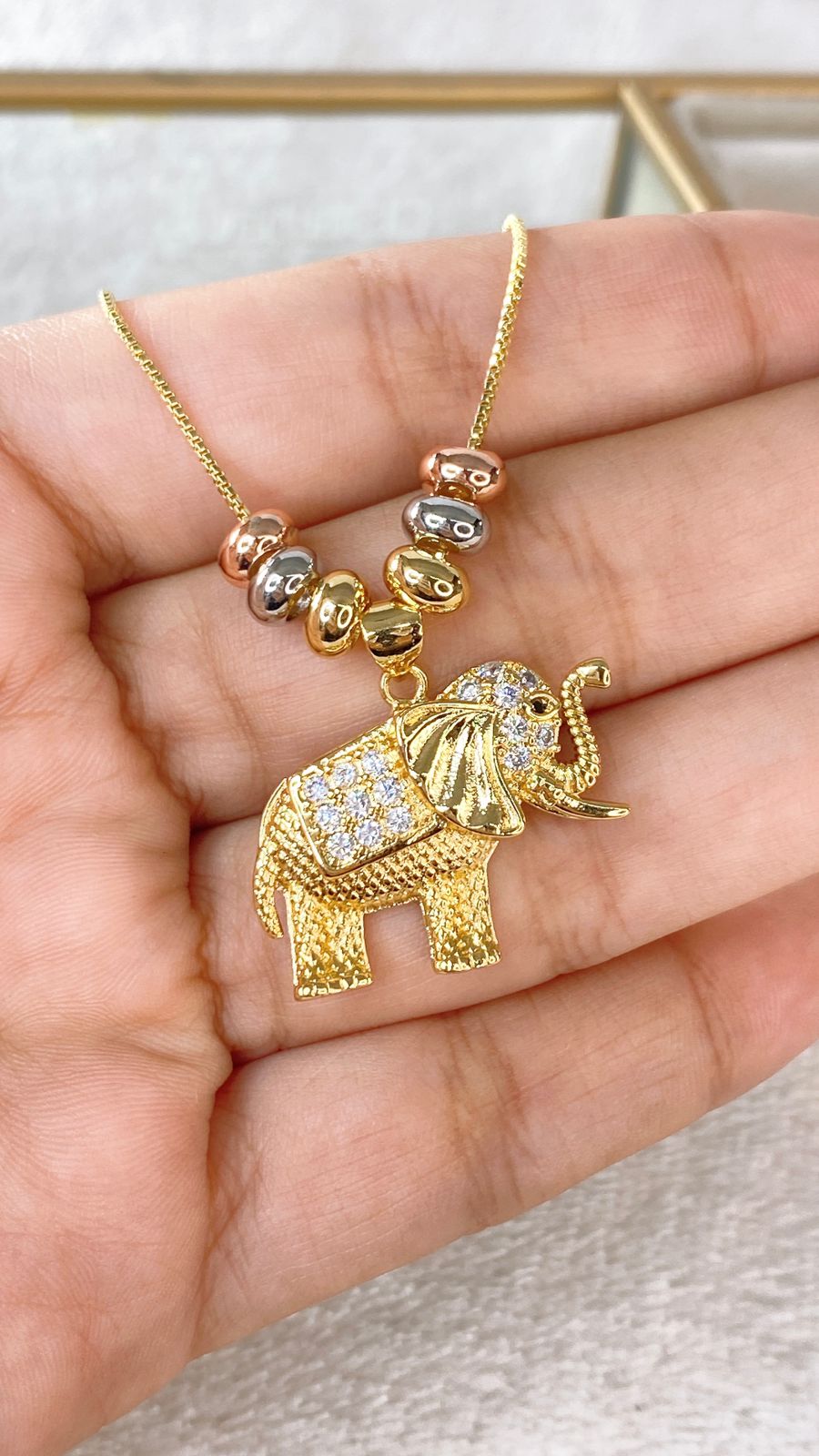 Collar de Chapa de Oro CC2265-1