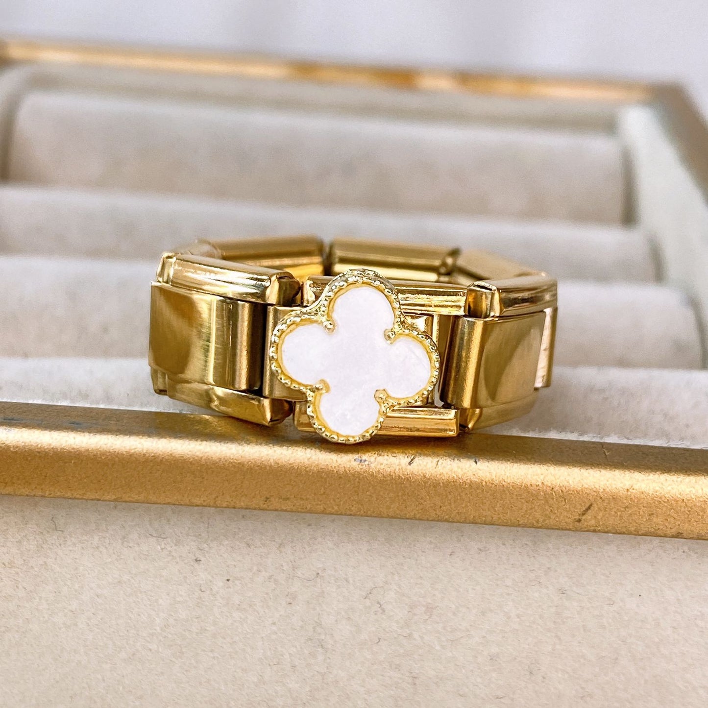 Anillo Italiano de Acero Inoxidable Ajustable RAI1073-1