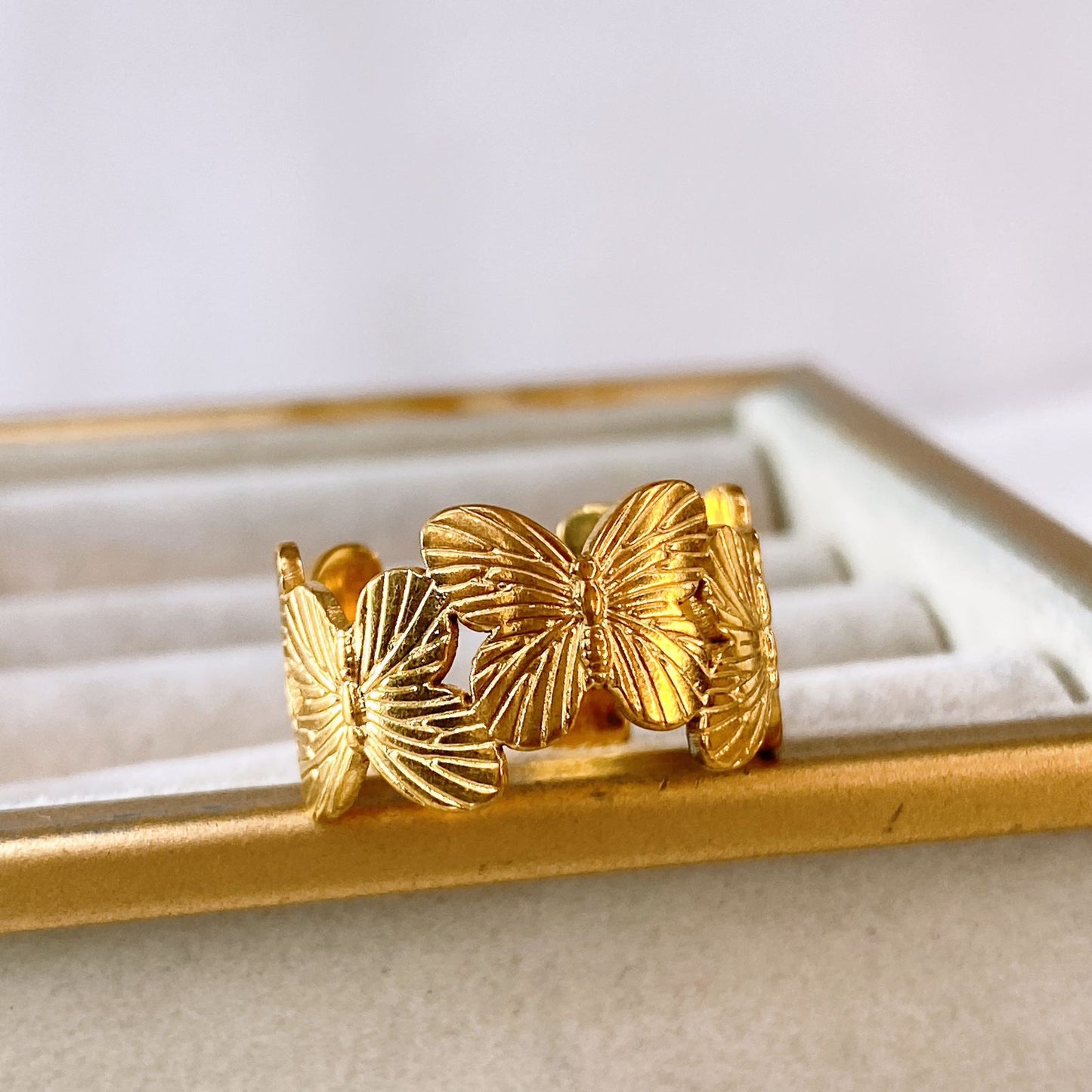 Anillo de Acero Inoxidable Ajustable RAI1075-1