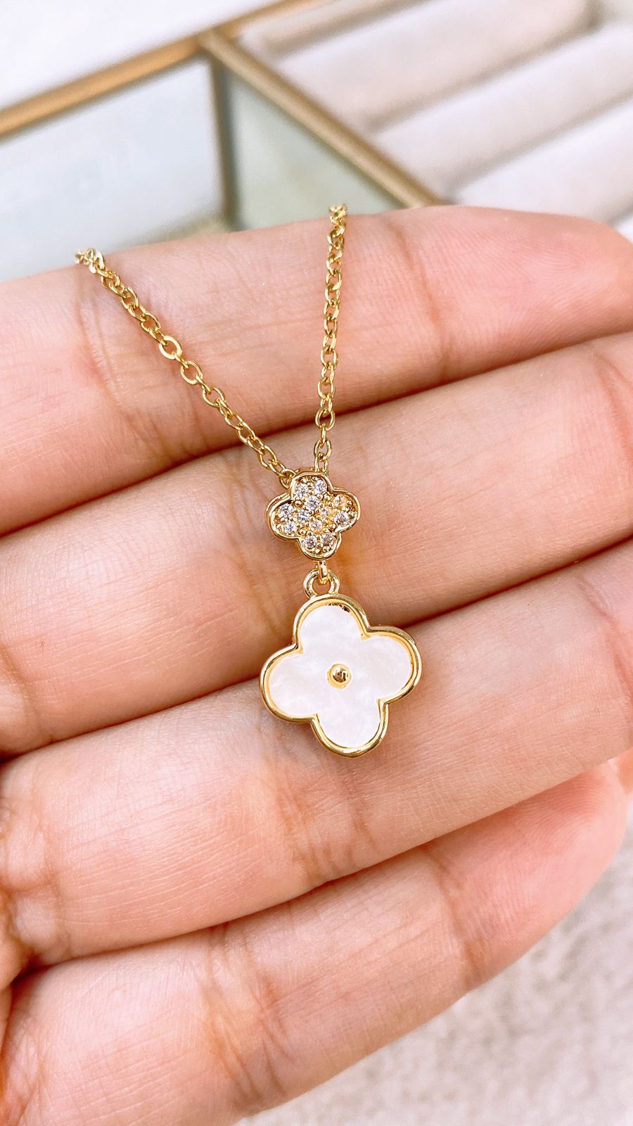 Collar de Acero Inoxidable CAI2780-1