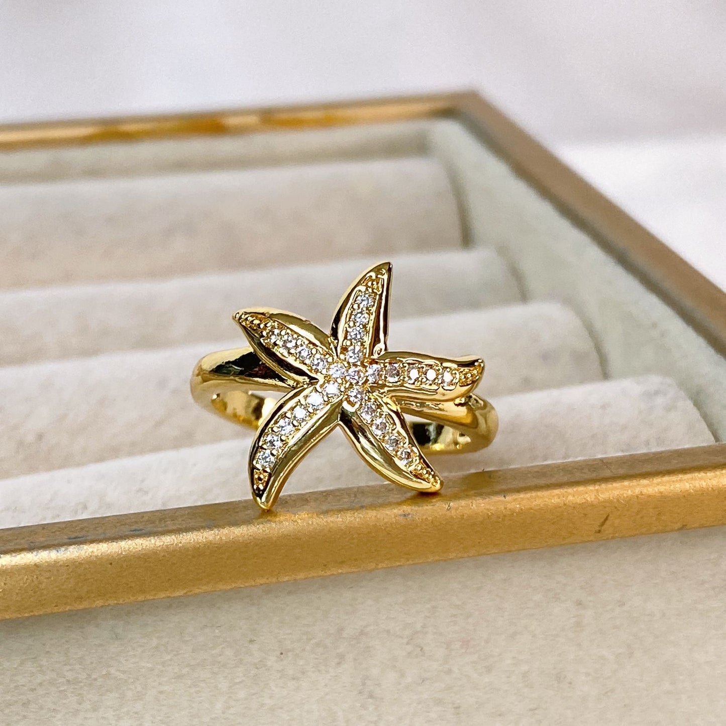 Anillo de Chapa de Oro Ajustable ACO1542-1