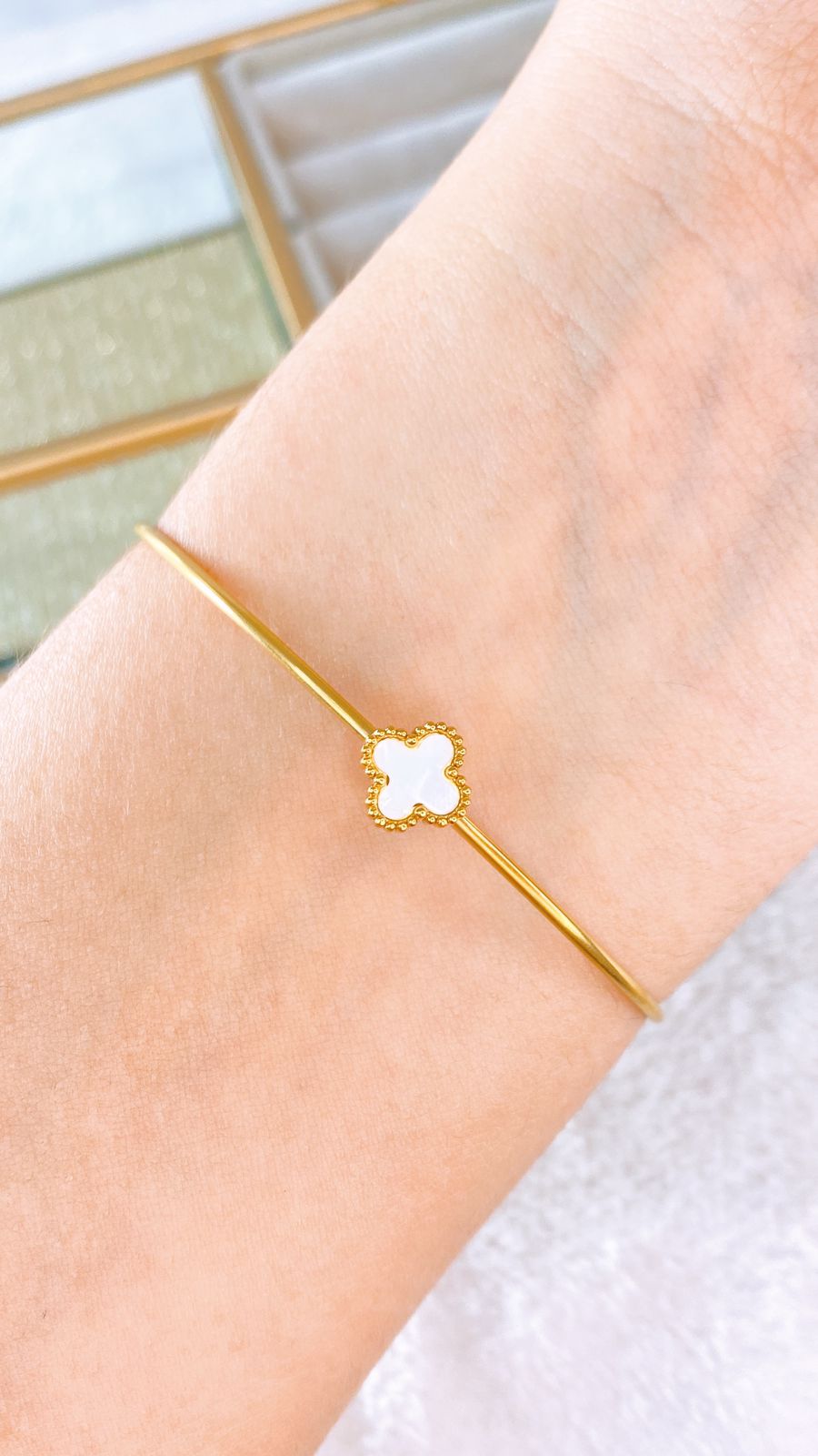 Pulsera de Acero Inoxidable PAI1152-1