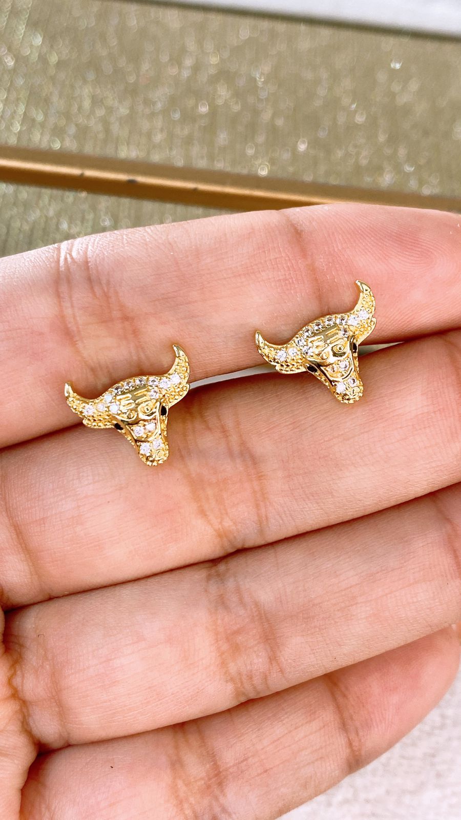 Arete de Chapa de Oro COA2368-1