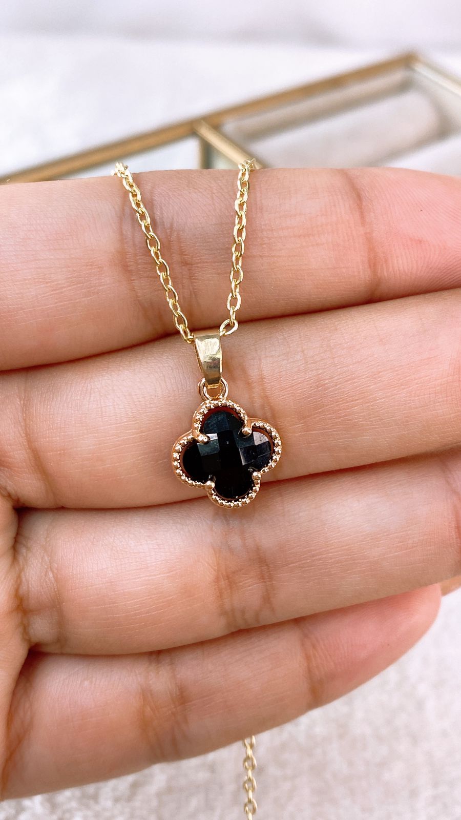 Collar de Chapa de Oro CC2316-1