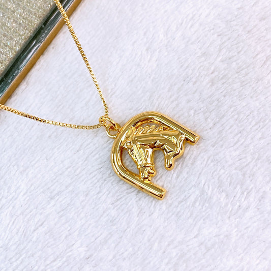 Collar y Dijes de Chapa de Oro CC2345-1
