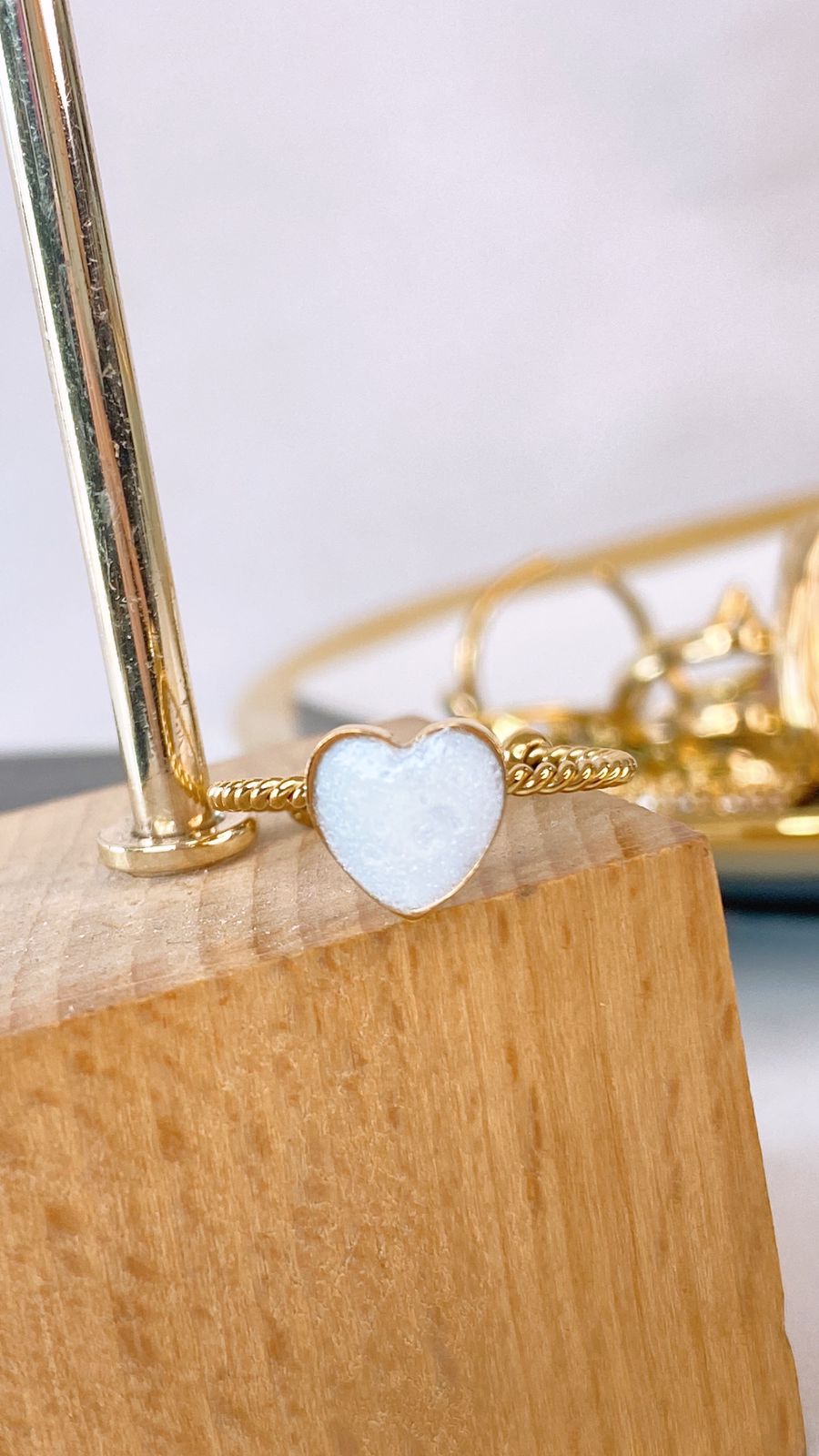 Anillo de Acero Inoxidable Ajustable RAI1184-1