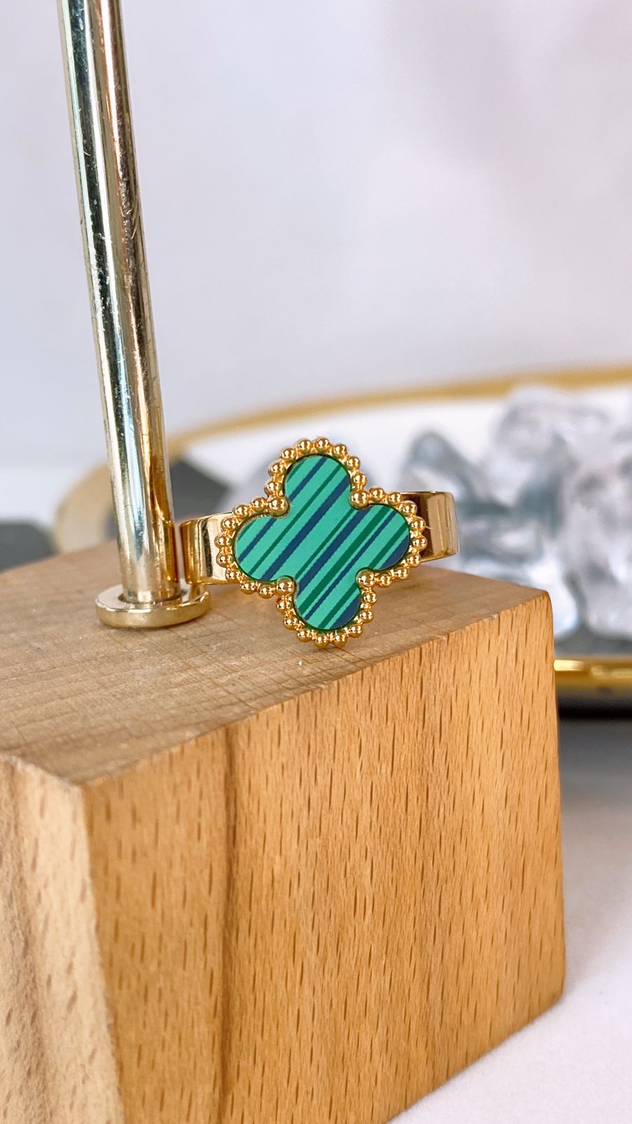 Anillo de Acero Ajustable RAI1234-6