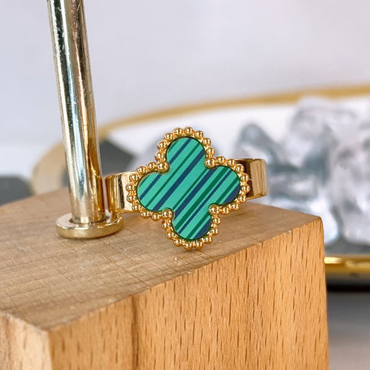 Anillo de Acero Ajustable RAI1234-6