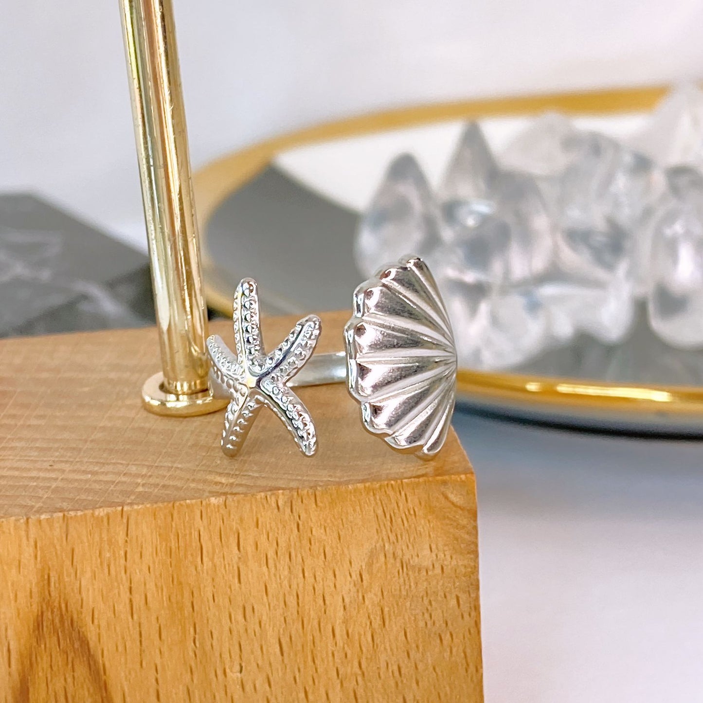 Anillo de Acero Inoxidable Ajustable RAI1293-2