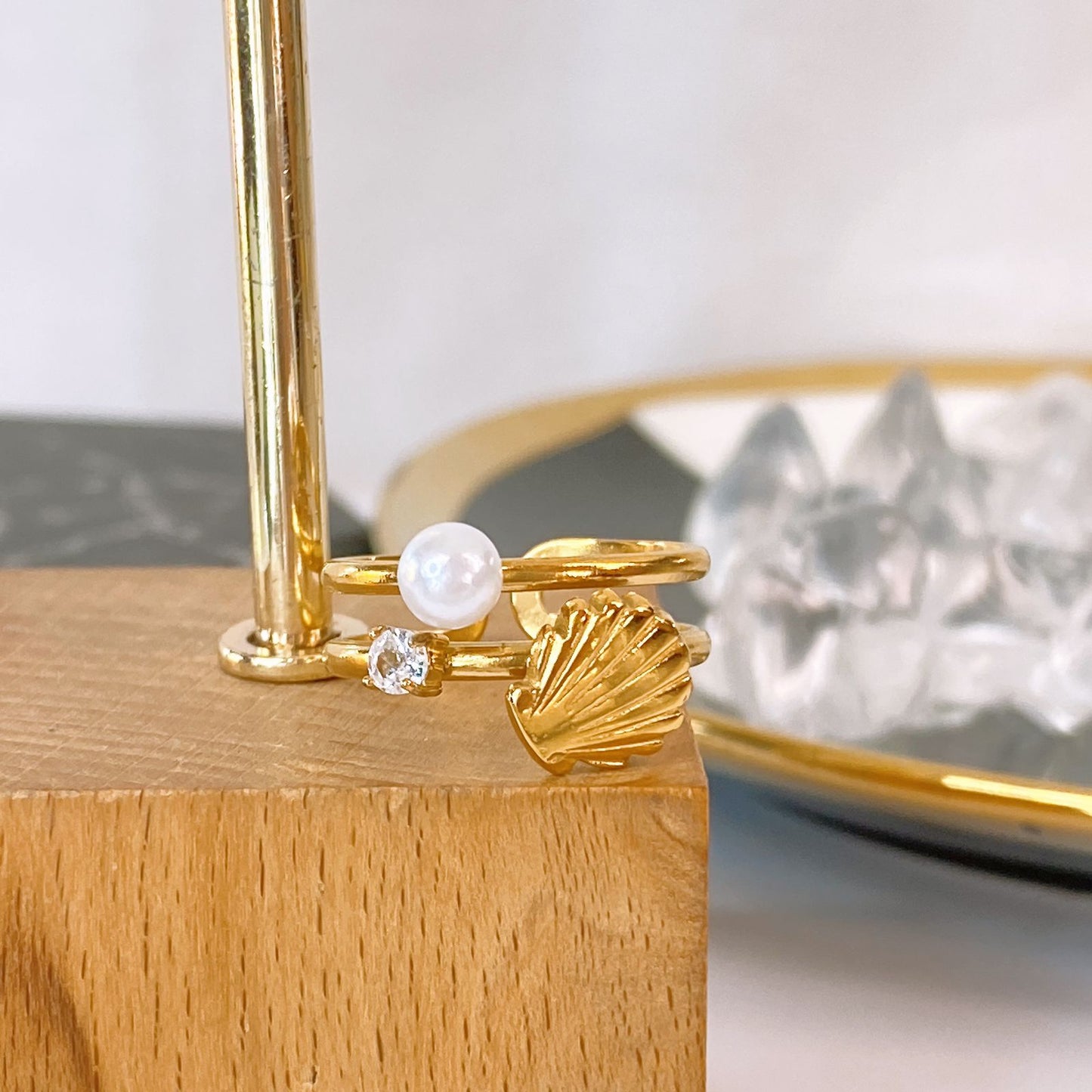 Anillo de Acero Inoxidable Ajustable RAI1280-1