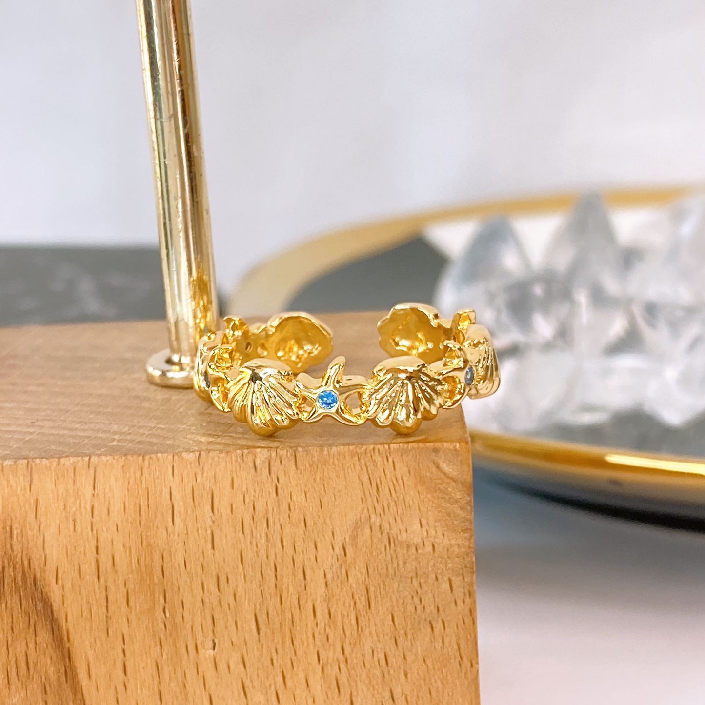 Anillo de Acero Inoxidable Ajustable RAI1286-1