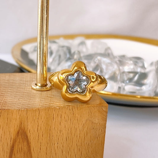 Anillo de Acero Inoxidable Ajustable RAI1302-1