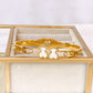 Pulsera de Titanio PAT008-1