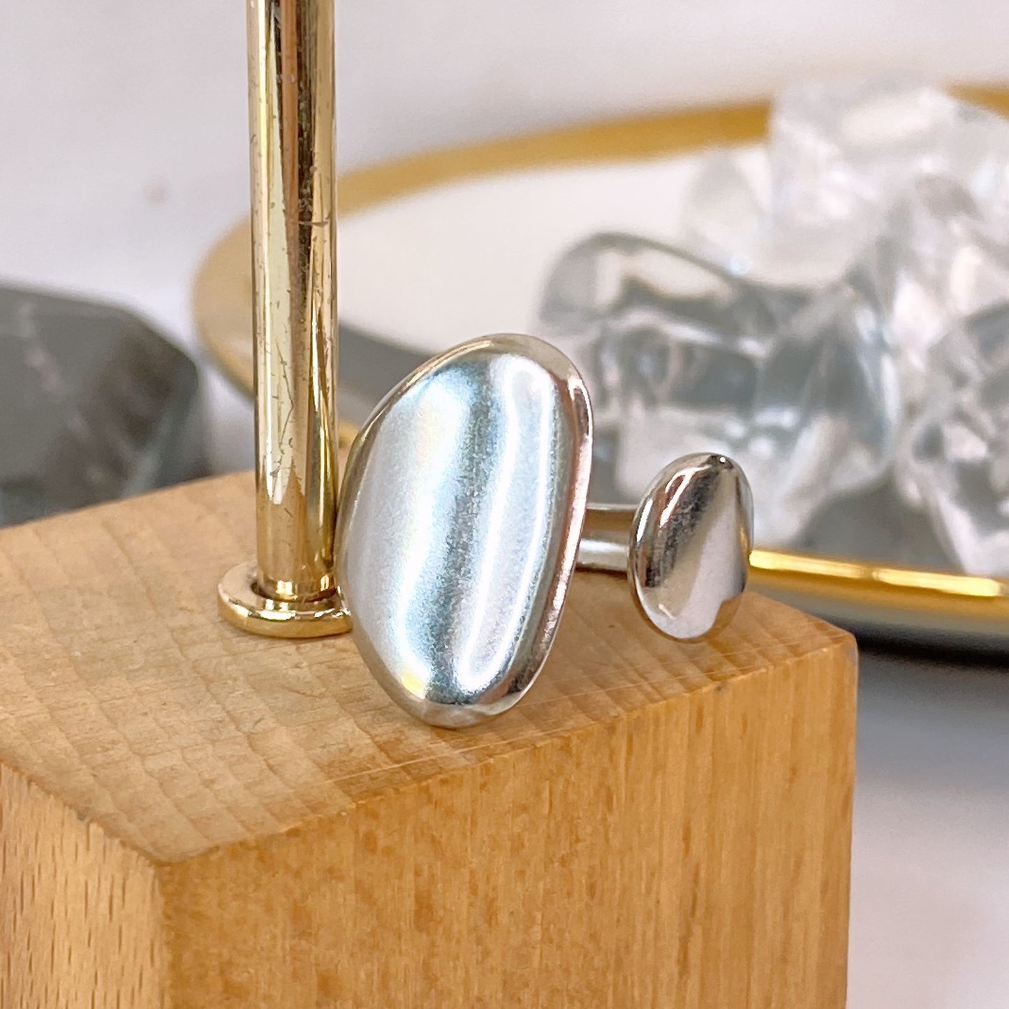 Anillo de Acero Inoxidable Ajustable RAI1351-2