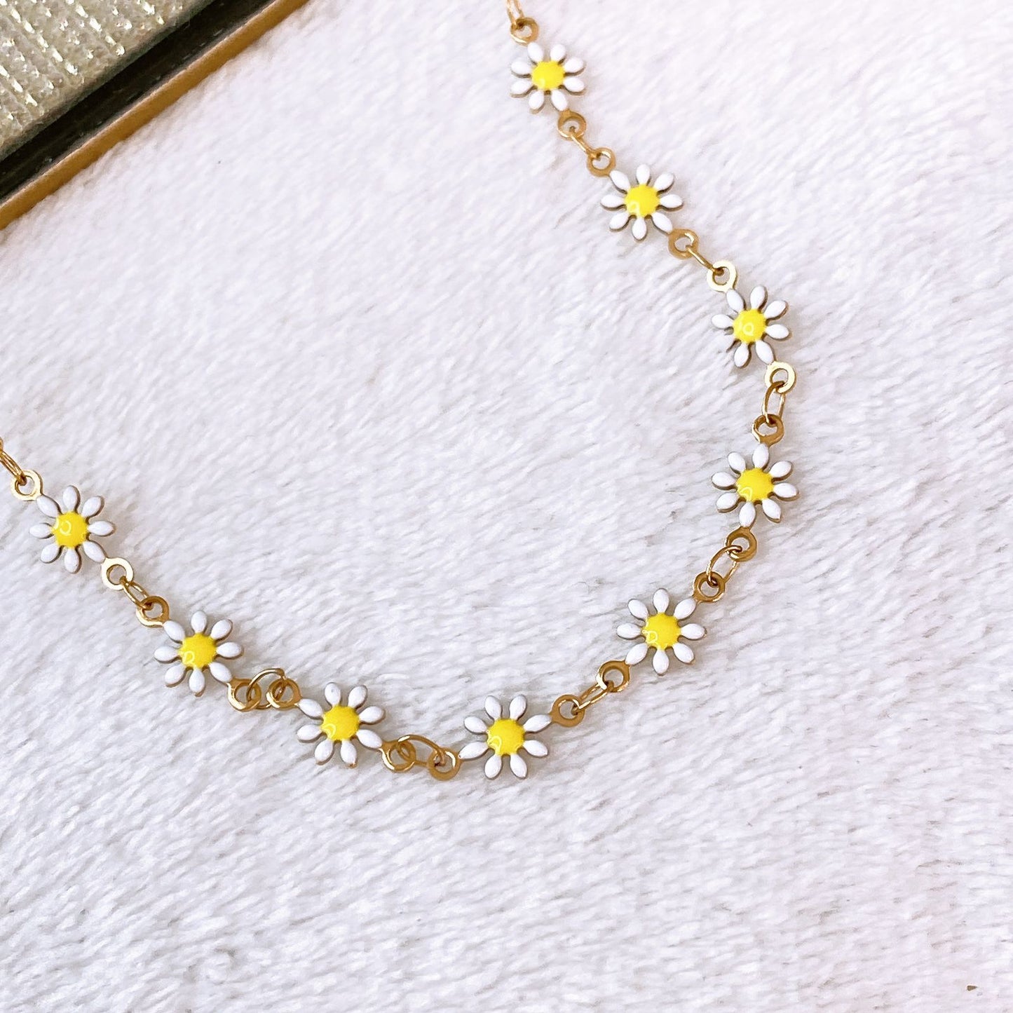 Collar de Acero Inoxidable CAI3408-2
