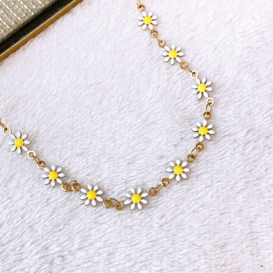 Collar de Acero Inoxidable CAI3408-2