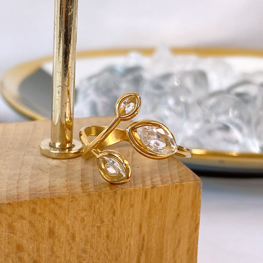 Anillo de Acero Inoxidable Ajustable RAI13778-1
