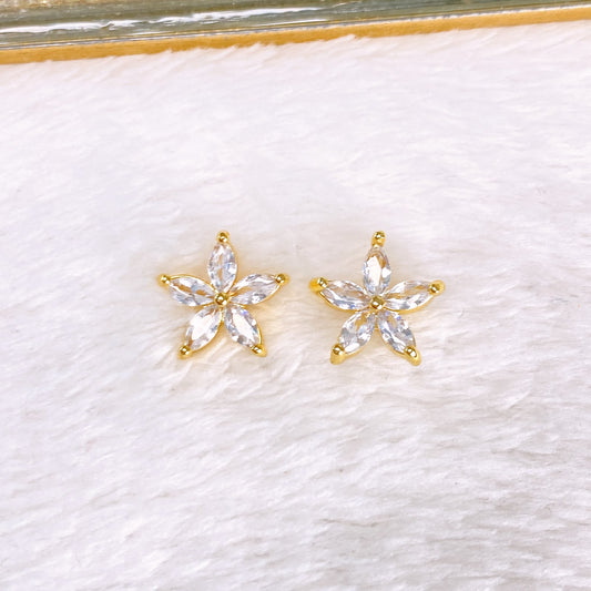 Arete de Chapa de Oro COA2889-2