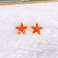 Arete de Chapa de Oro COA2889-4