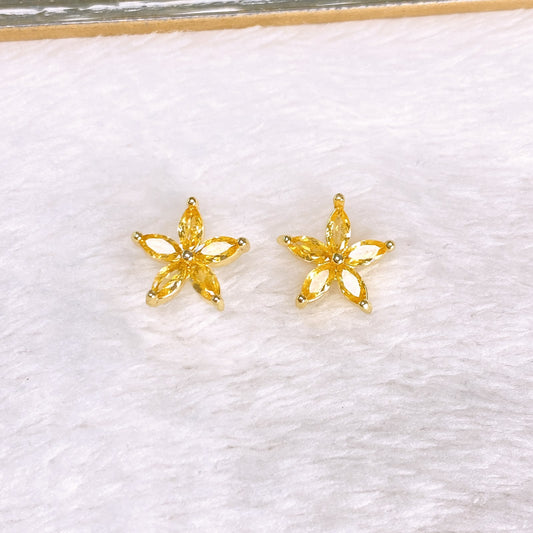 Arete de Chapa de Oro COA2889-5