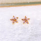 Arete de Chapa de Oro COA2889-3