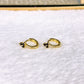 Arete de Chapa de Oro COA2933-2