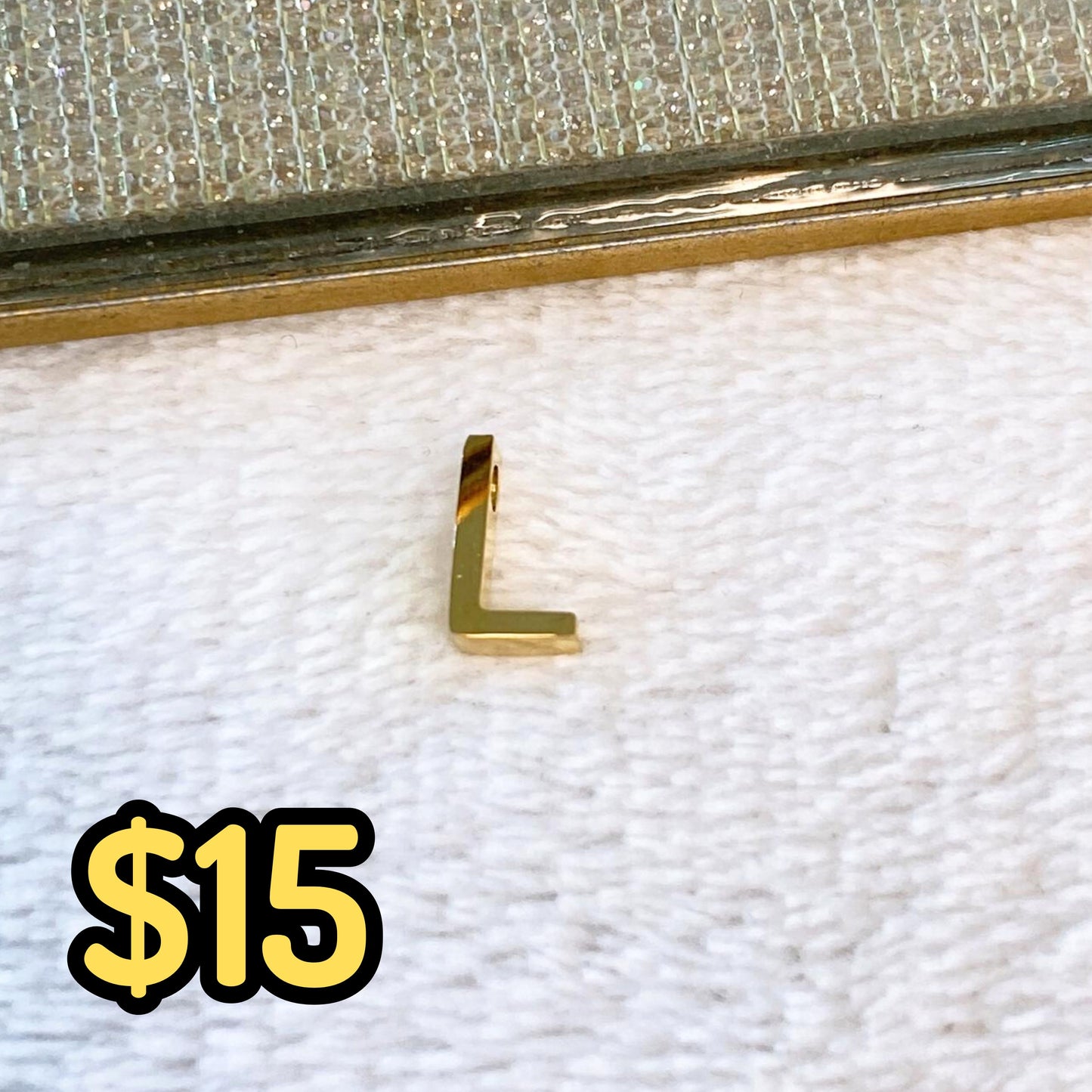 Dije de Acero Inoxidable para Collar CAI2666-L