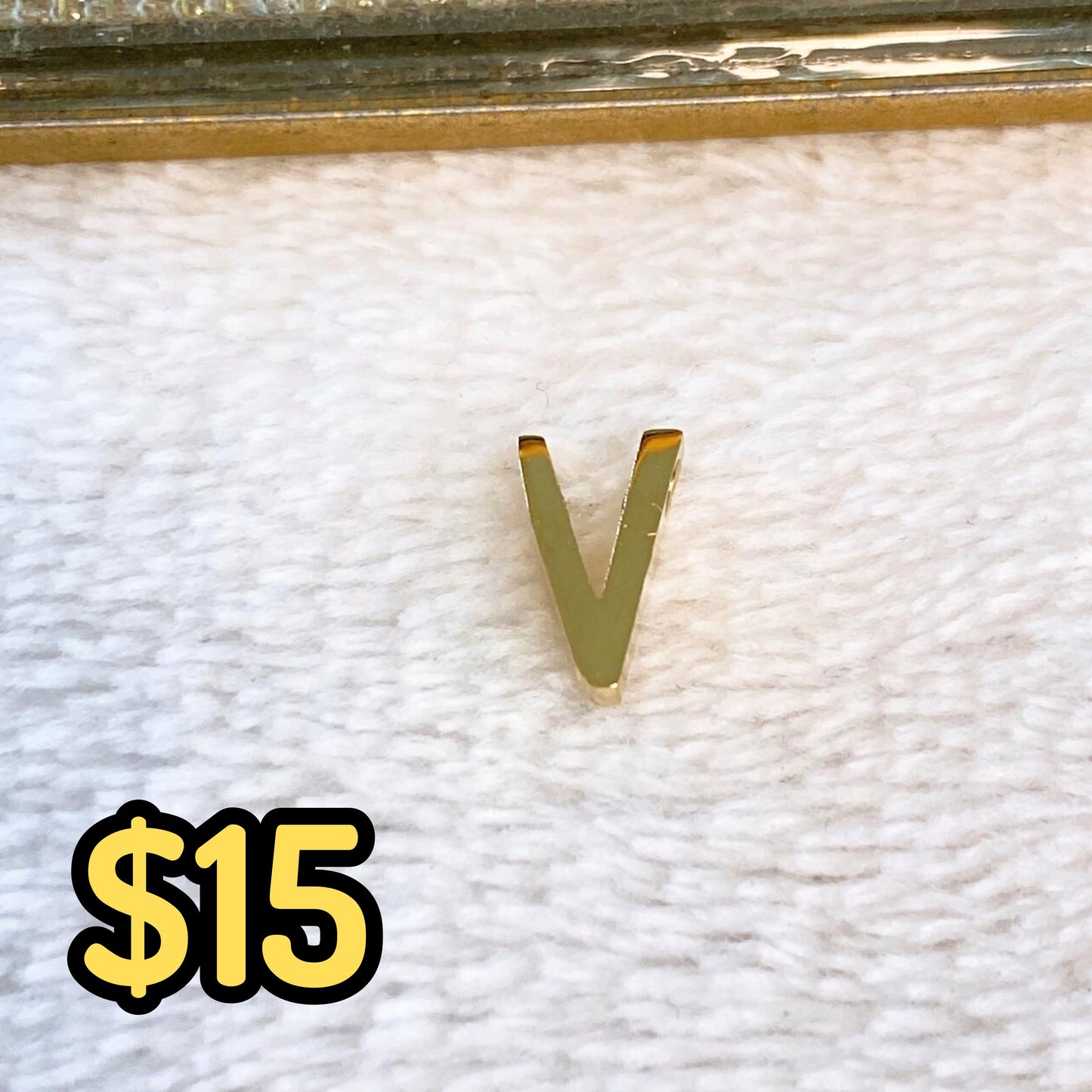 Dije de Acero Inoxidable para Collar CAI2666-V