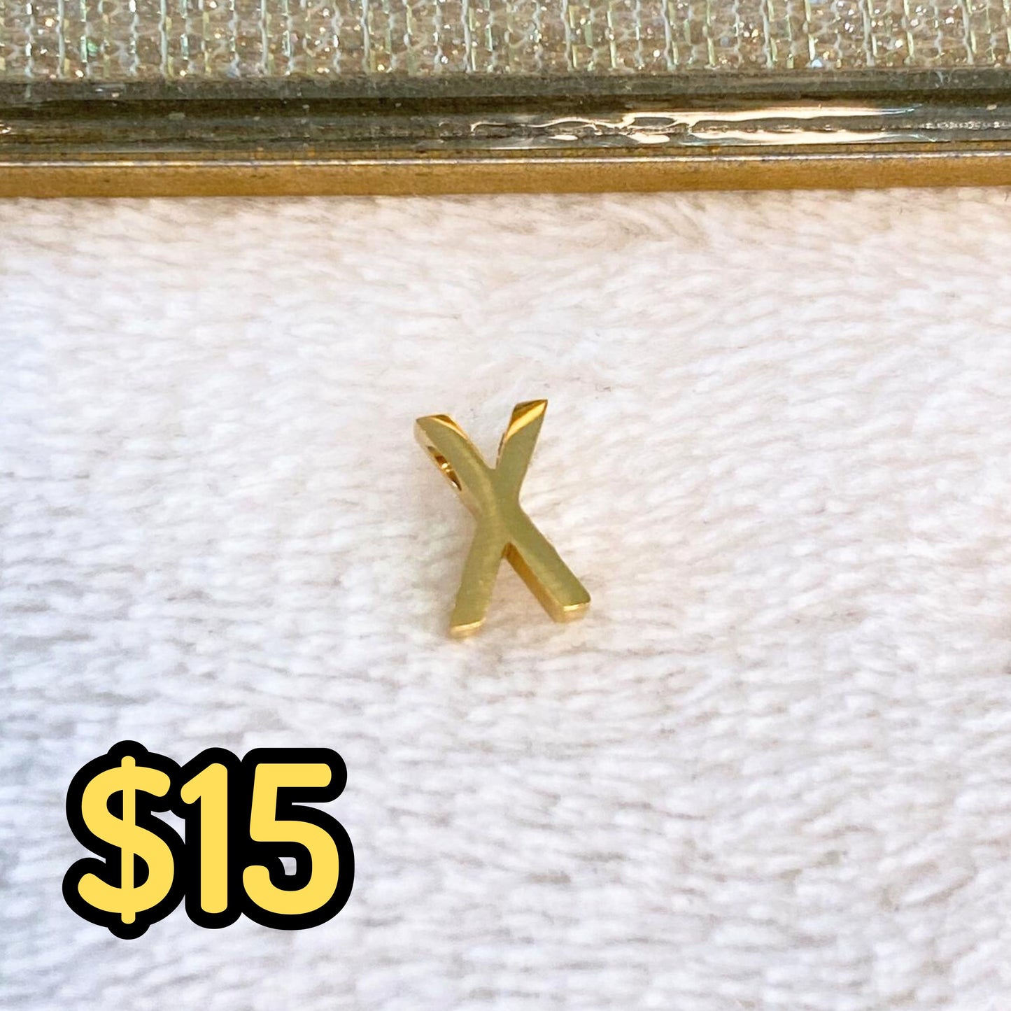 Dije de Acero Inoxidable para Collar CAI2666-X