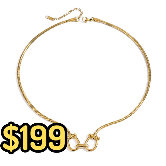 Collar de Acero Inoxidable CAI2648-1