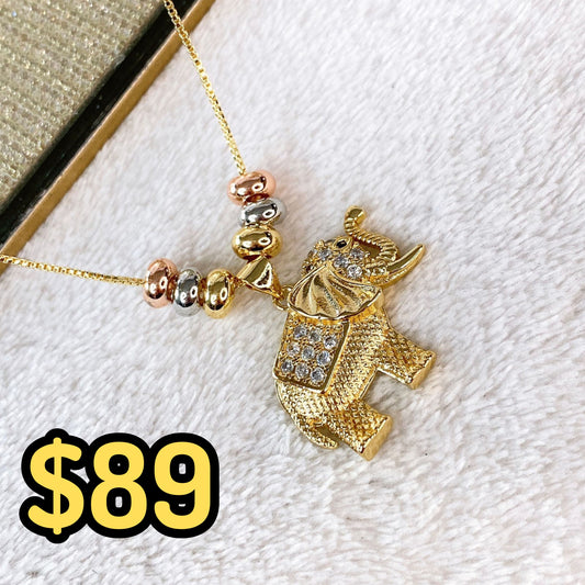 Collar de Chapa de Oro CC2265-1