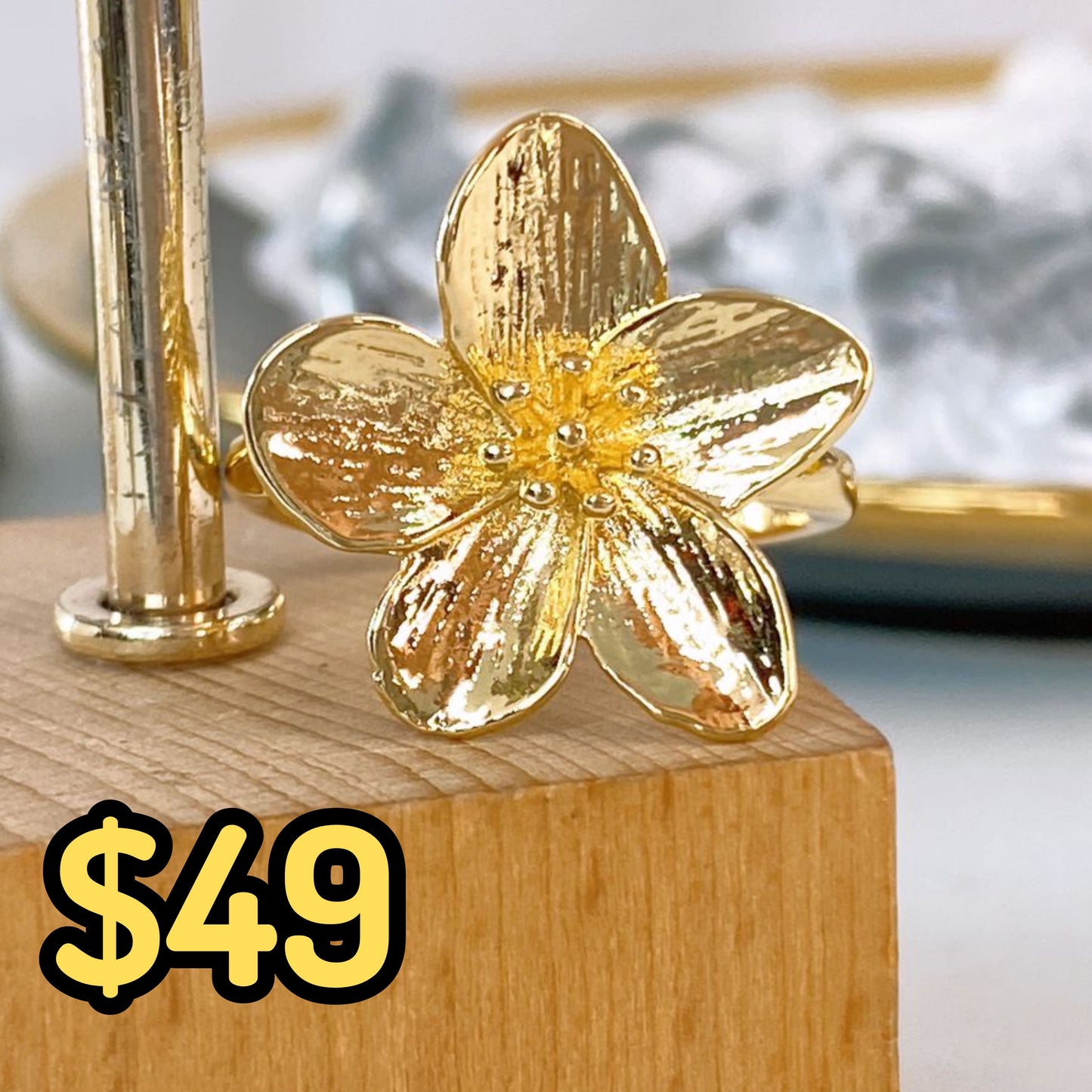 Anillo de Chapa de Oro Ajustable ACO1499-1