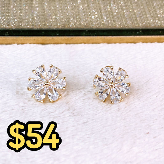 Arete de Chapa de Oro COA2384-2