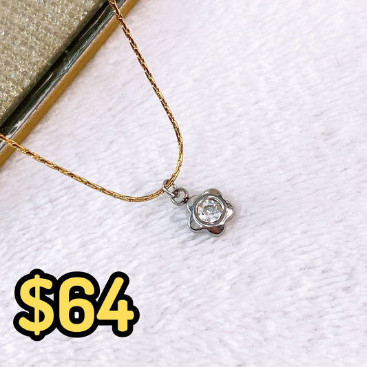 Collar de Acero Inoxidable CAI3045-2