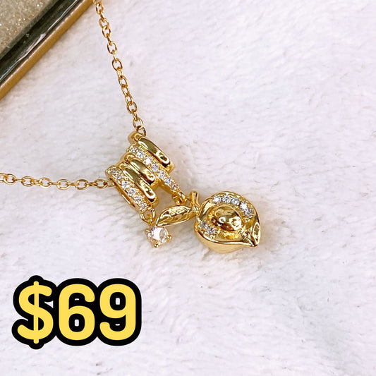 Collar de Chapa de Oro CC2418-4