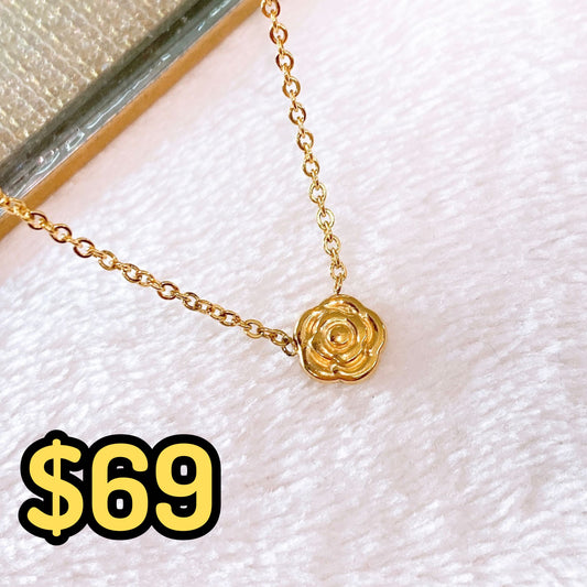 Collar de Acero Inoxidable CAI3070-1