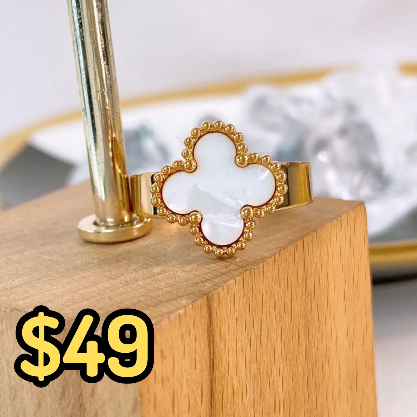 Anillo de Acero Ajustable RAI1234-2
